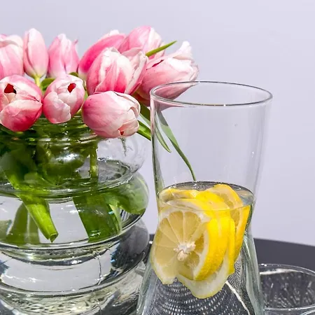 Rodzinna Διαμέρισμα